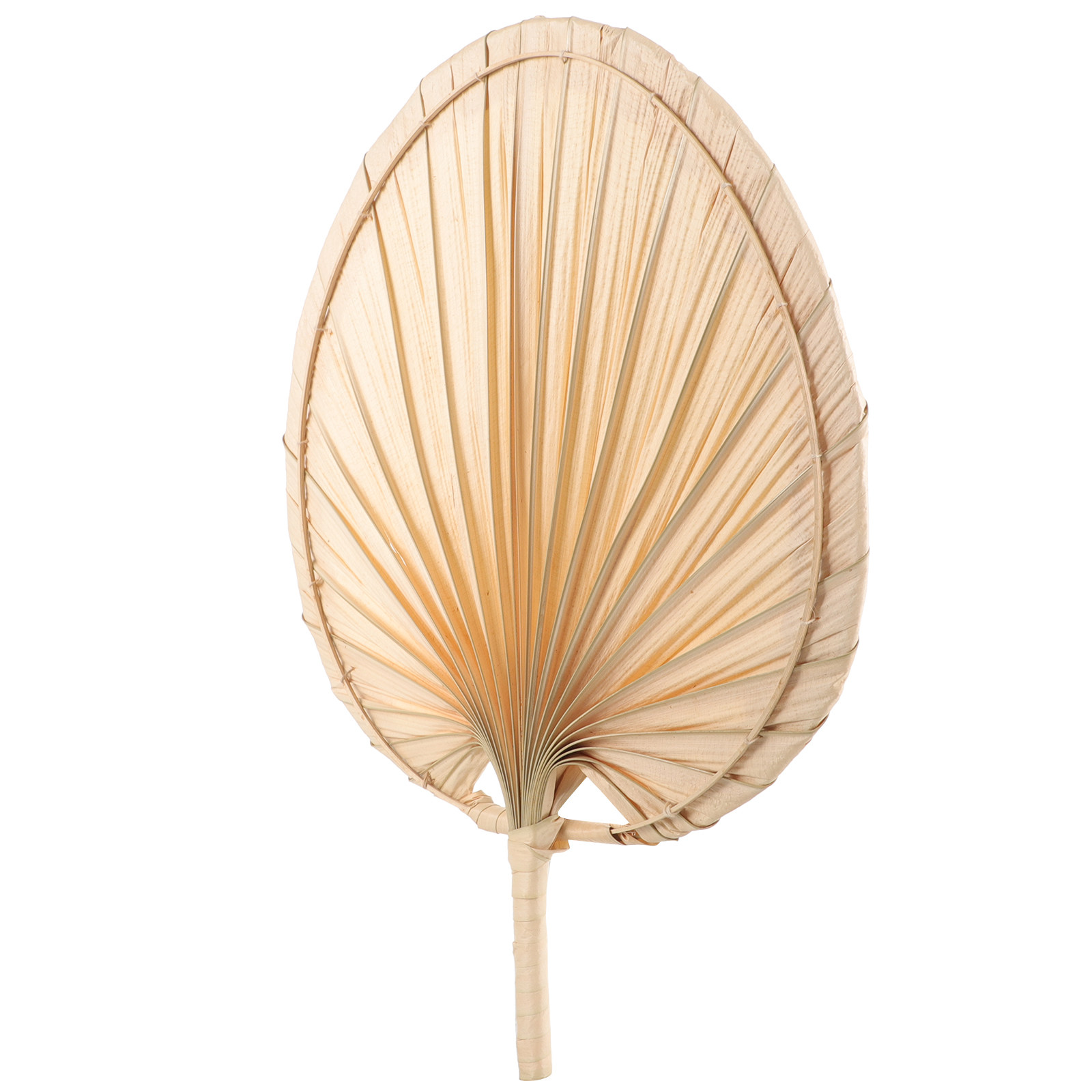 Dried Palm Leaf Hand Fan Chine - Palm Leaf Dried 评论和价格