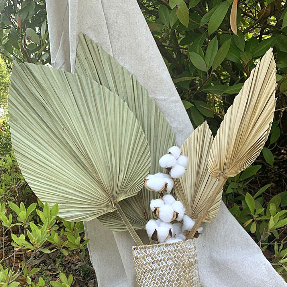 1Pcs Natural Dried Palm Leaf D - Palm Leaf Dried 评论和价格