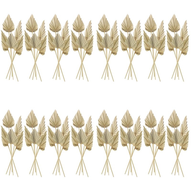 80Pcs Boho Dried Palm Spears L - Palm Leaf Dried 评论和价格