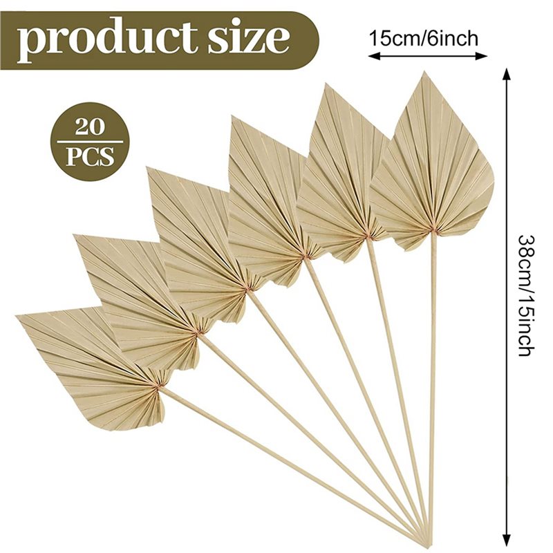 80Pcs Boho Dried Palm Spears L - Palm Leaf Dried 评论和价格