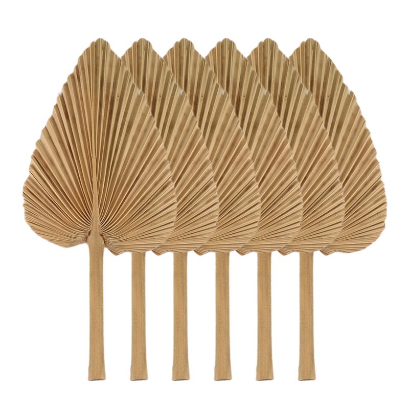 AT84-6PCS Dried Palm Leaves Na - Palm Leaf Dried 评论和价格
