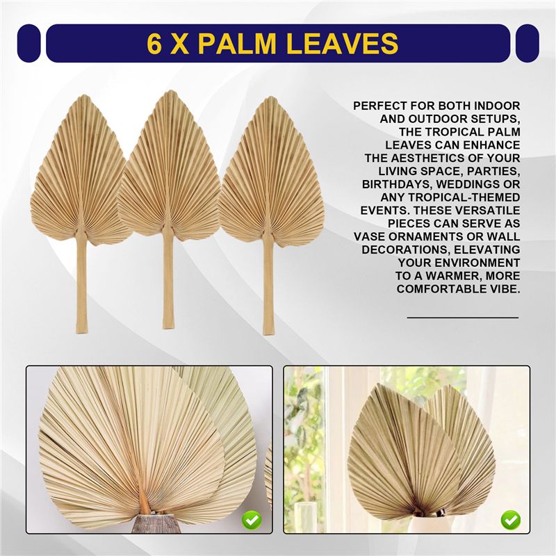 AT84-6PCS Dried Palm Leaves Na - Palm Leaf Dried 评论和价格