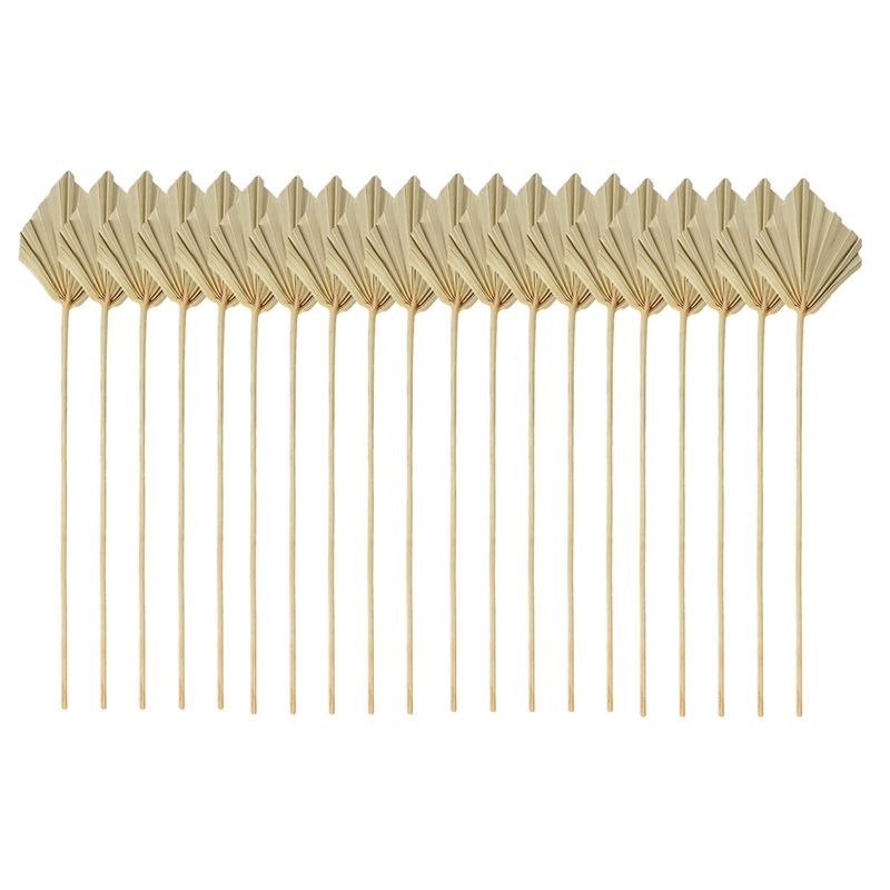 ABYN-Boho Dried Palm Spears Sm - Palm Leaf Dried 评论和价格