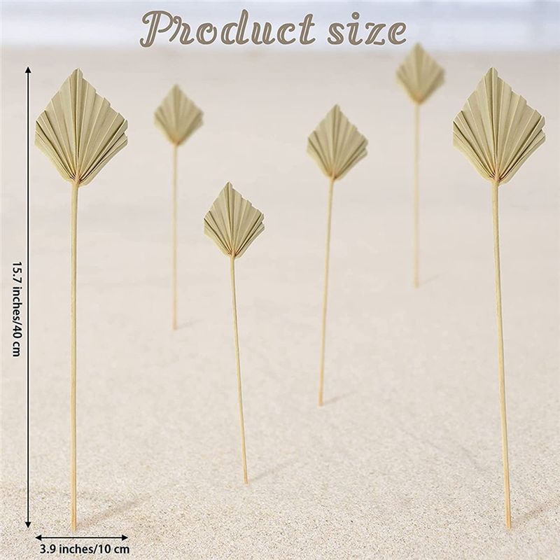 AS60-30 Pcs Boho Dried Palm Sp - Palm Leaf Dried 评论和价格