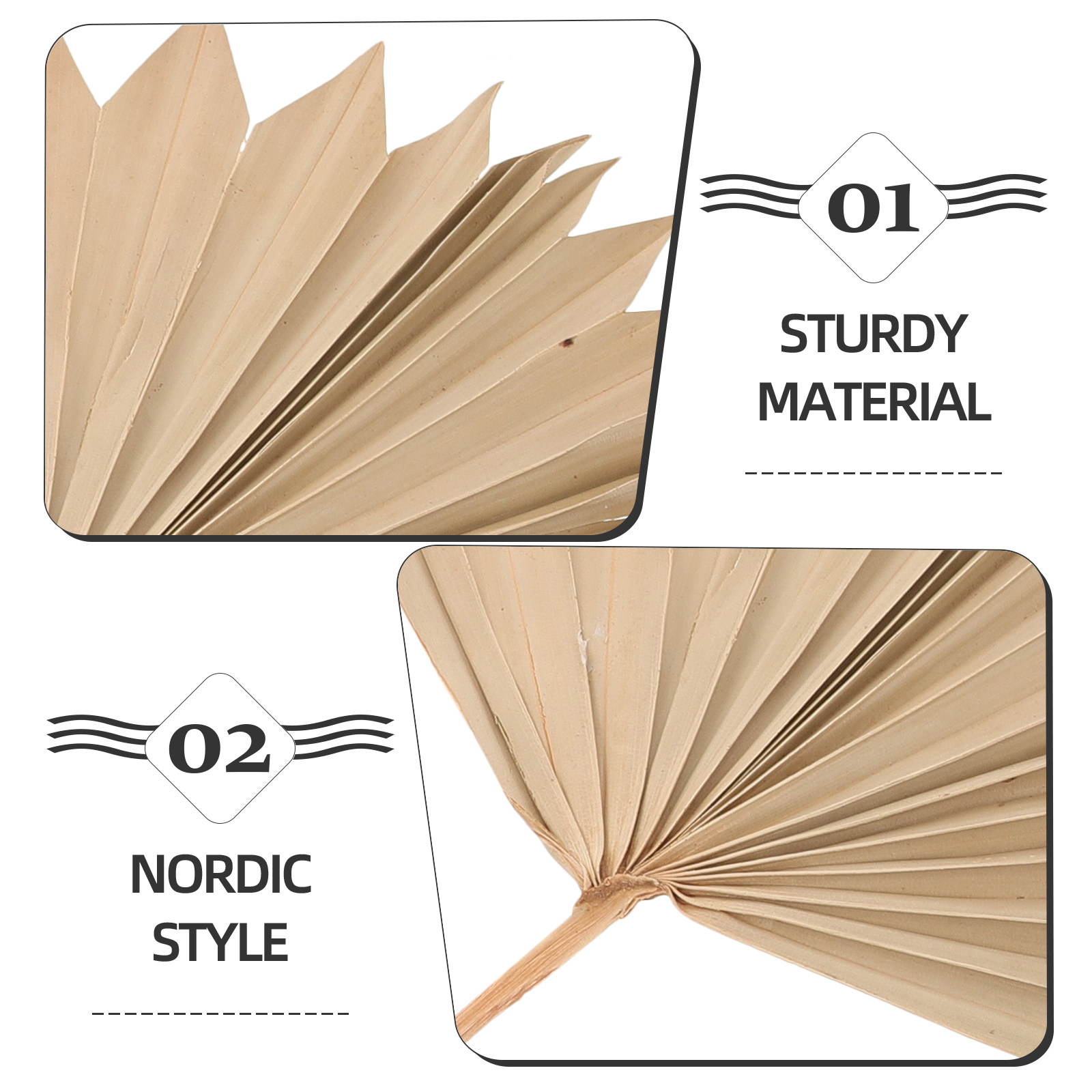 4Pcs Dried Palm Leaf Ornament  - Palm Leaf Dried 评论和价格