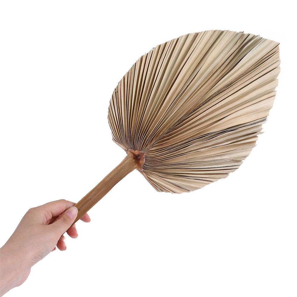 Party Office Boho Trimmed Bohe - Palm Leaf Dried 评论和价格