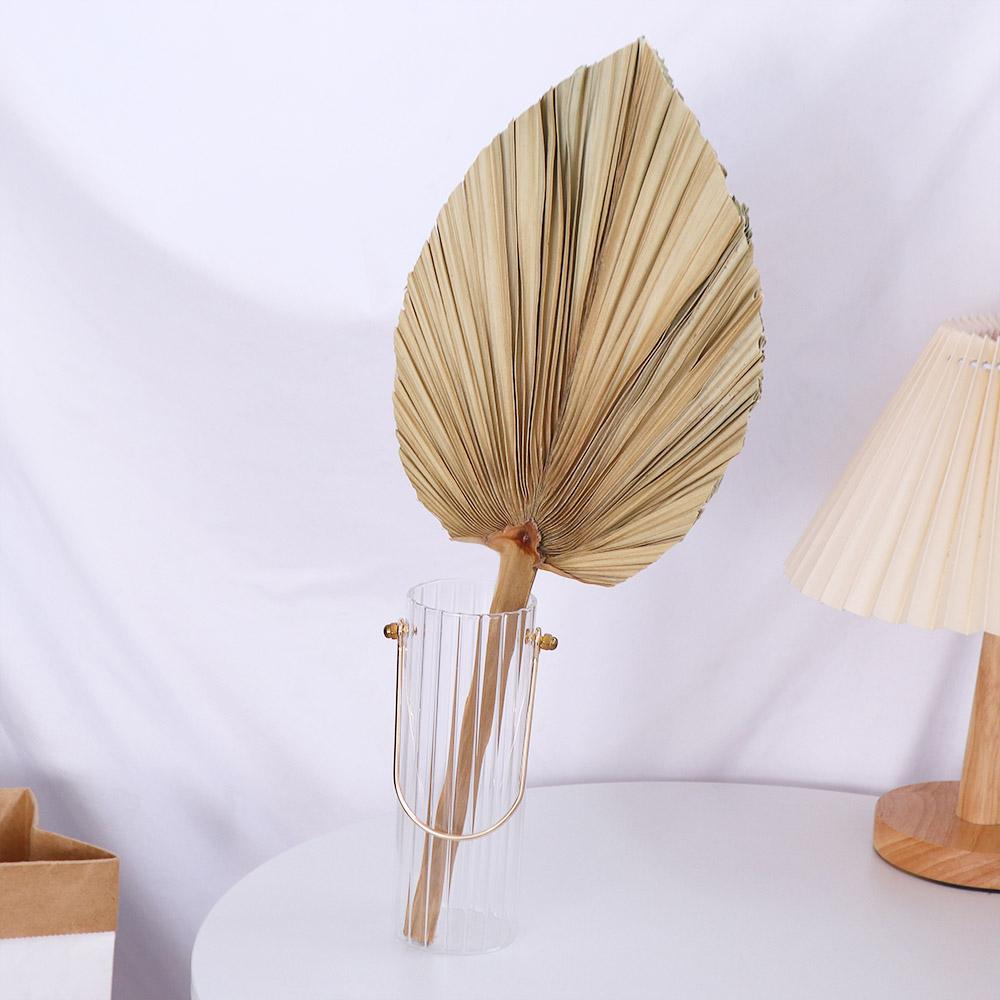 Party Office Boho Trimmed Bohe - Palm Leaf Dried 评论和价格