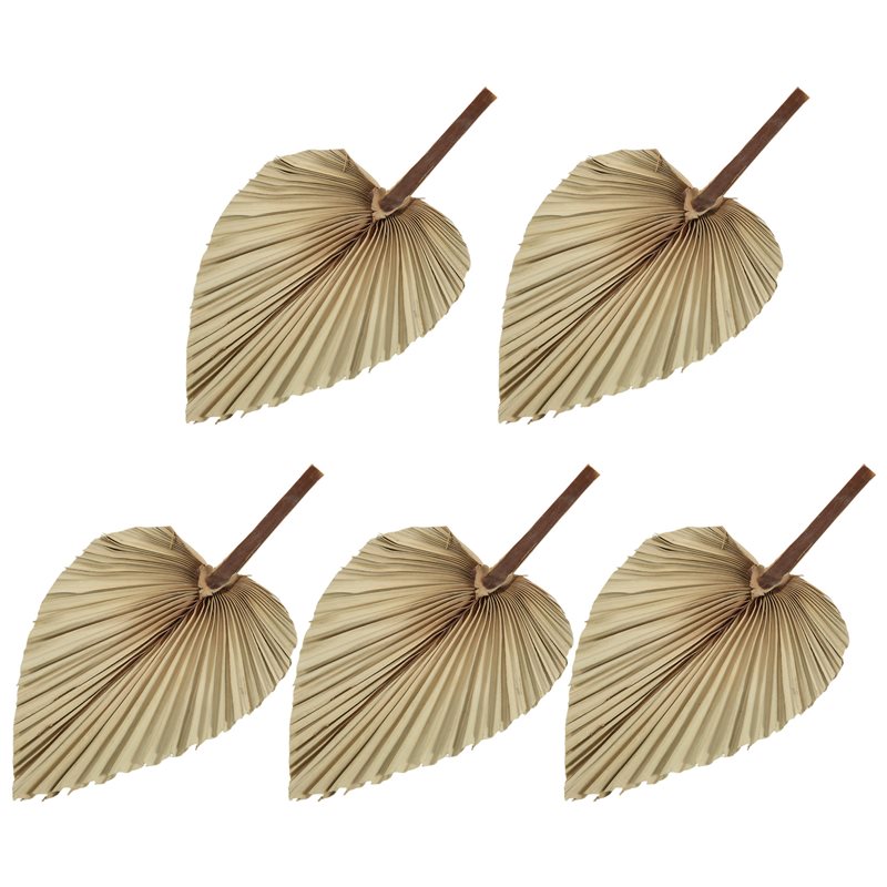 SEWS-5Pcs Natural Dried Palm L - Palm Leaf Dried 评论和价格
