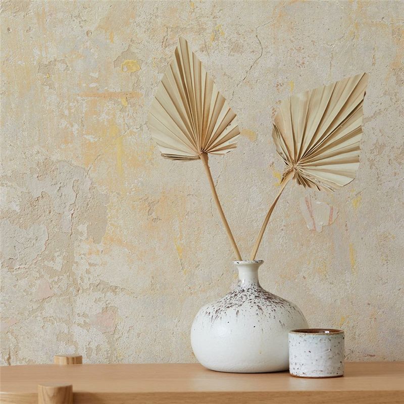 A04G-Boho Dried Palm Spears Sm - Palm Leaf Dried 评论和价格