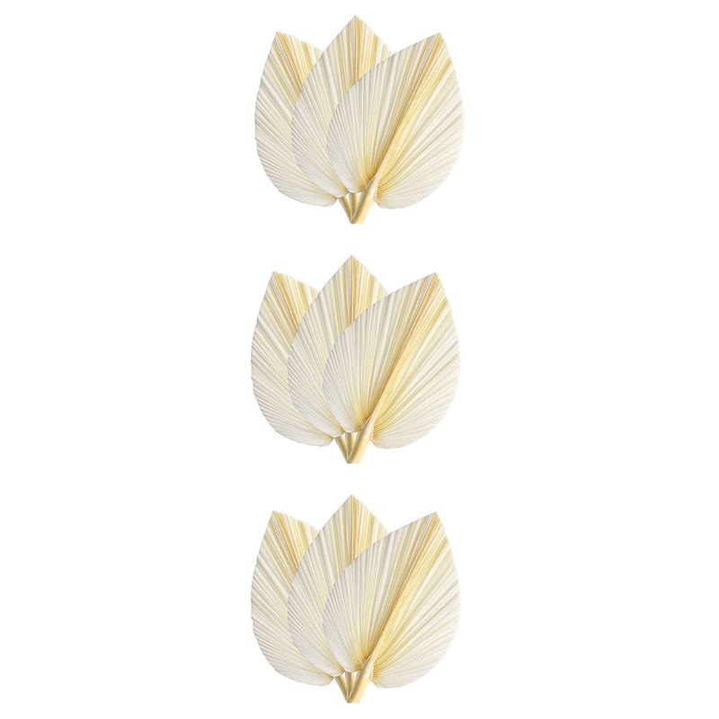 Large White Dried Palm Leaves  - Palm Leaf Dried 评论和价格
