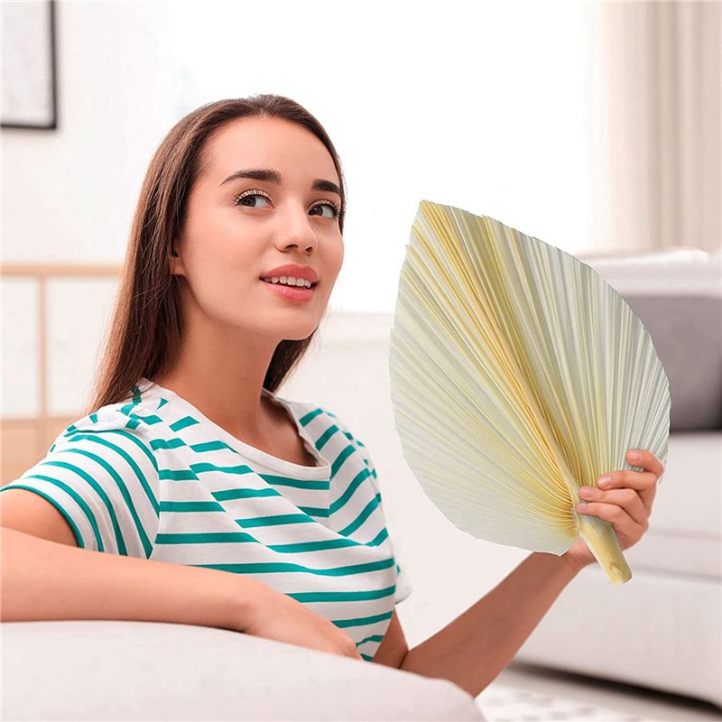 Large White Dried Palm Leaves  - Palm Leaf Dried 评论和价格