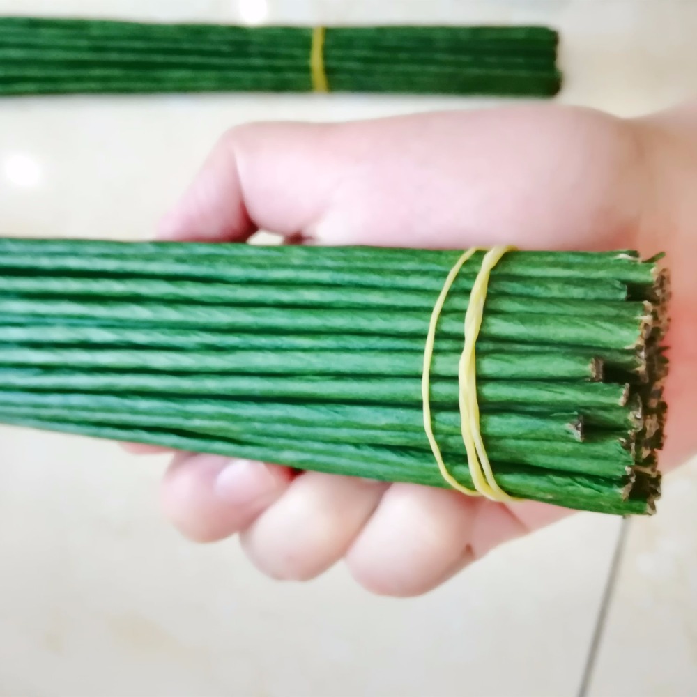 1mm 2/3/4/5mm 40/60cm Dark Gre - Wire Stem Florist 评论和价格